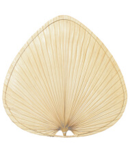 fanimation ceiling fans, ceiling fan lights, unique ceiling fans fanimation ceiling fans, ceiling fan lights, unique ceiling fans