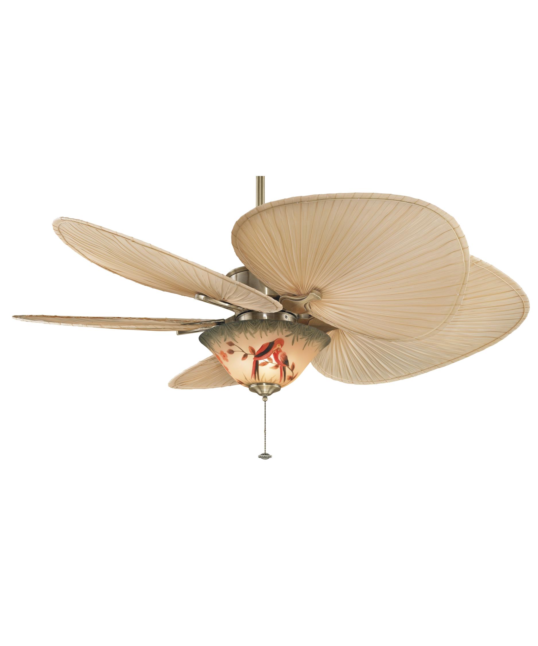 Fanimation Islander 52 Inch 5 Blade Ceiling Fan Capitol Lighting Motor Shown In Antique Brass Finish With Isp1 Natural Palm Leaf Blades And F423ab Light Er